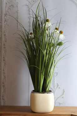 delikatna kompozycja traw z jeżówką, Lotto 2, wys.86cm 