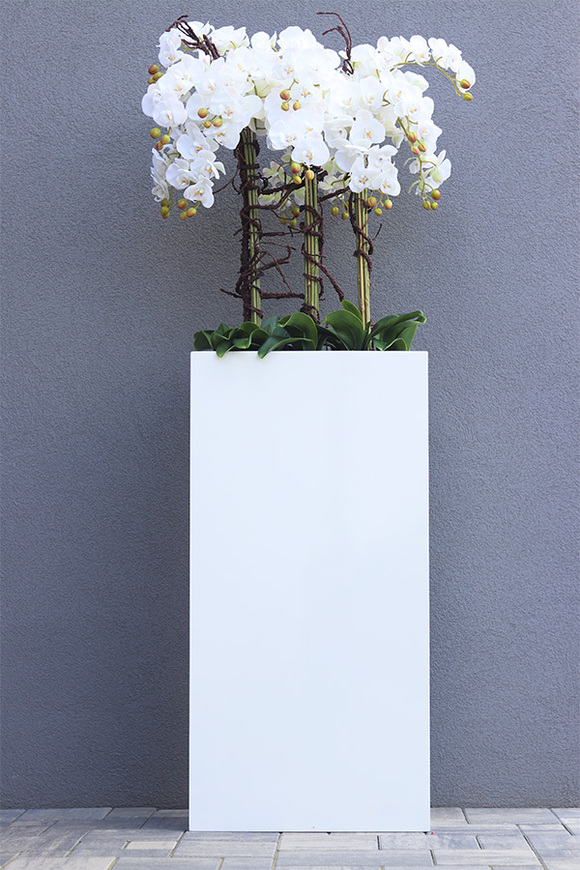 Fiberglass Grande Quadrina, ekskluzywny wysoki biały storczyk