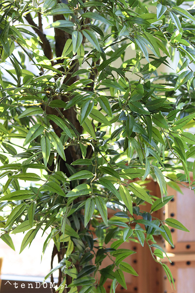 Fikus Benjamin G, sztuczna roślina w doniczce