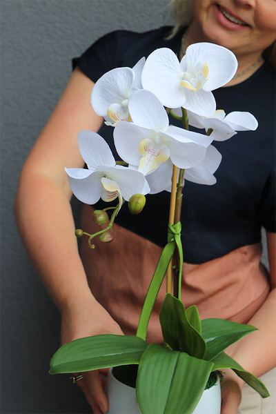 Classico Pure White, śnieżnobiały sztuczny storczyk