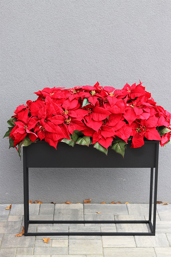 Gwiazda Betlejemska Moderno, aksamitne kwiaty w donicy na stojaku, wym.92x100cm 