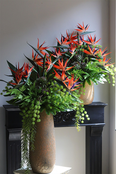 Gold Princera Strelicja, kompozycja w złotej donicy