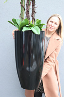 Black Fiberglass Silicone, gumowy storczyk w czarnej donicy z fiberglass, wys.122cm 