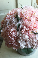 hortensje w metalowym naczyniu, Miledy Kredua, wym.40x33cm