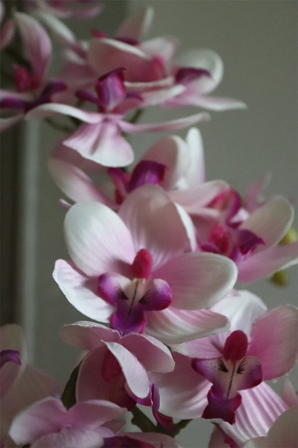 Girls Pink, różowy storczyk w białej donicy, wys.64cm 