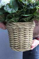 kompozycja kwiatowa w ceramicznym koszu, Pelargonie Premium, wys.47cm 