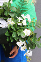 Orchidera Classica, bukiet nagrobny we wkładzie