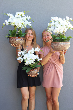 Ceramic House 2, sztuczny storczyk w ozdobnej misie, wys.59cm