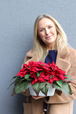 Gwiazda Betlejemska Madleine, wysokiej jakości sztuczna roślina w donicy, wym.