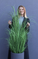  Fiberglass Grey Grass, trawa w donicy fiberglass