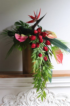 Schiele Premium Simple, strelicja kompozycja w złotej donicy, wys.57cm 