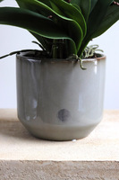 Pistacio, zielony sztuczny storczyk w ozdobnej donicy