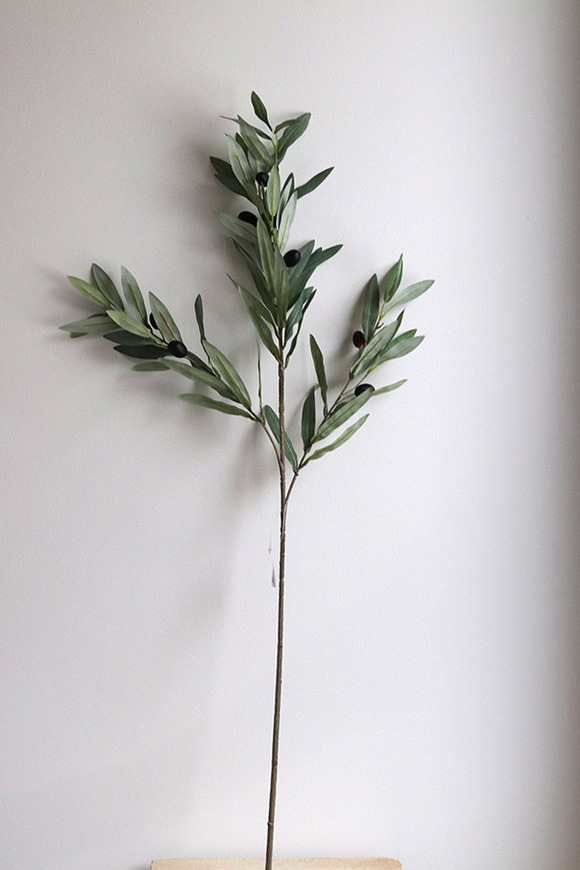 Oliwka, gałązka sztuczna roślin