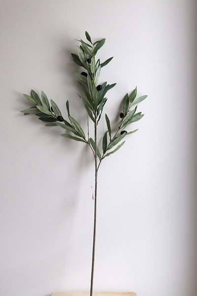 Oliwka, gałązka sztuczna roślin