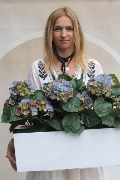 Summer Balcony Blue, niebieskie hortensje w skrzynce balkonowej