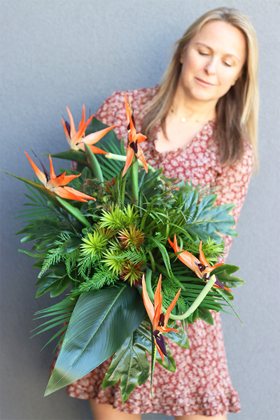 Strelicja Hotelia, podłużna kompozycja w misie