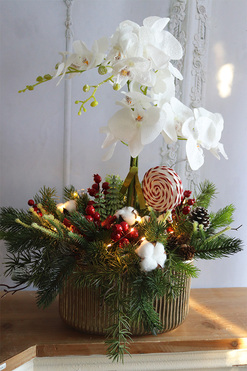 Lollypop Candy, elegancki storczyk zimowy LED, wys.64cm