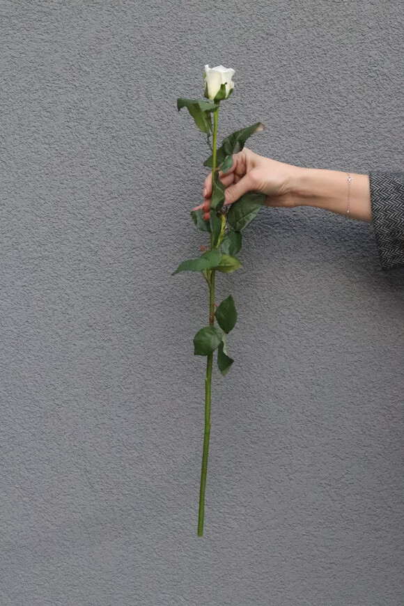 Róża Juliet, gałązka sztucznej róży
