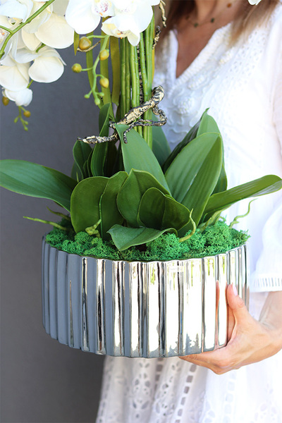 Nullina Silver Tresta 2, sztuczny storczyk w lustrzanej misie