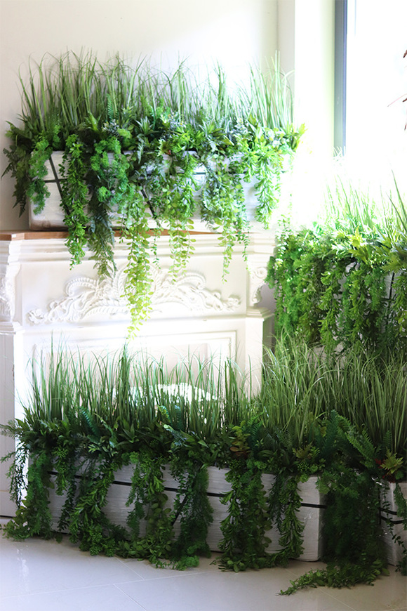 Agneso Greenoso, kompozycja we wkładzie do Twojej donicy