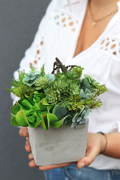 Green Celita C, zielona kompozycja w betonowej donicy