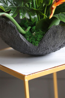 Strelizia Volcan, kompozycja nagrobna w misie