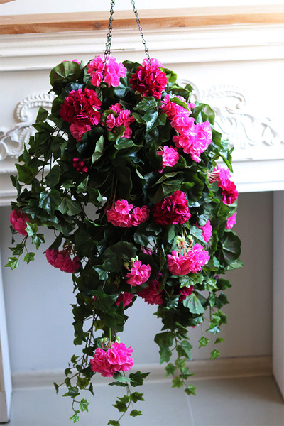 Pelargonia Pink, kwiaty w wiszącej donicy