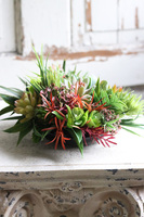 Defia, kompozycja sukulenty w okrągłej donicy, wym.20x27cm