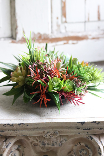 Defia, kompozycja sukulenty w okrągłej donicy, wym.20x27cm