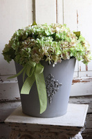 hortensje w metalowym naczyniu, Miledy Nesta, wym.44x40cm