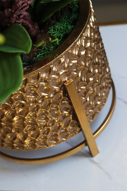 Miłość, karminowy welurowy storczyk, wys.66cm 