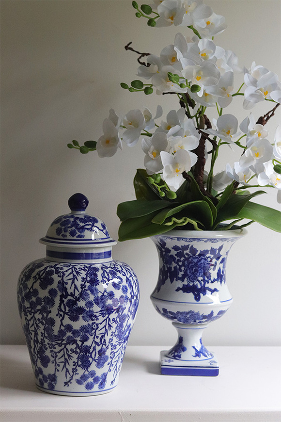 storczyk w ceramicznym pucharze