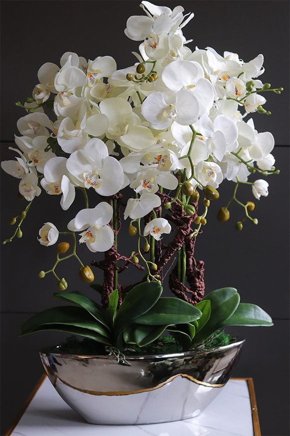 Laos Silver Big efektowny sztuczny storczyk