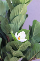 kwiat doniczkowy w wysokiej donicy, Marmur Magnolia, wys.140cm