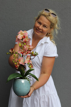 Turkusia Granada, gumowy storczyk w ozdobnej donicy, wys.50cm