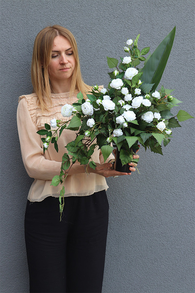 Angielska Róża White, komplet dekoracji nagrobnych