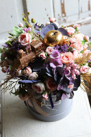 Fioletta Goldi LED, flowerbox świąteczny z orchideą