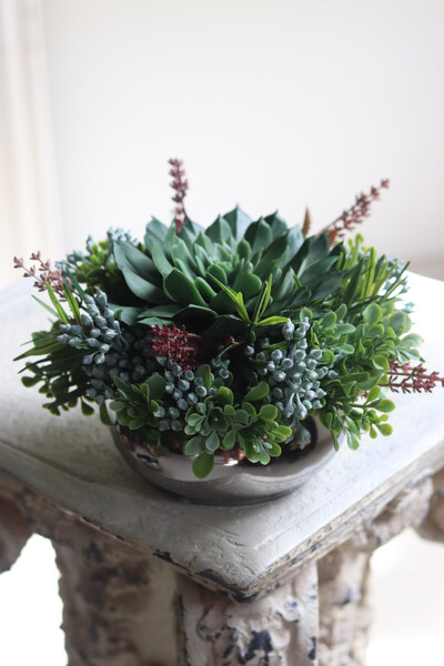 Maria Jalote, kompozycja sukulenty w lustrzanej donicy