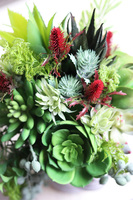 efektowna kompozycja sukulenty w głowie, Crazy Head White 2, wys.28cm