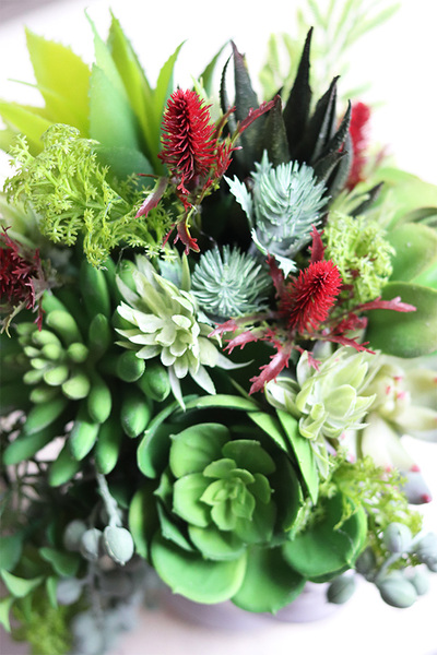 efektowna kompozycja sukulenty w głowie, Crazy Head White 2, wys.28cm