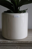 Girls Pink, różowy storczyk w białej donicy, wys.64cm 