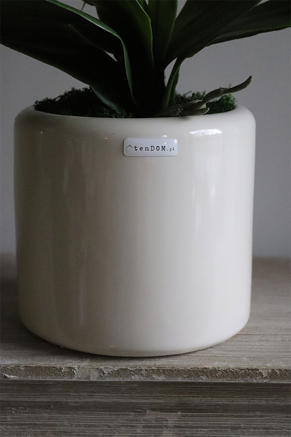 Girls Pink, różowy storczyk w białej donicy, wys.64cm 