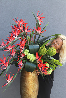 Princera Rubinowa Strelicja 2, kompozycja w złotej donicy, wys.120cm