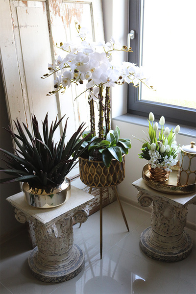 Krefia, zielona kompozycja w złotej donicy, wys.48cm