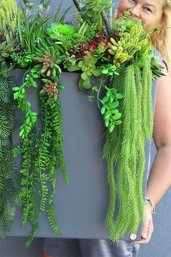 Cacti Grey Fiberglass 2, sukulenty ze kaktusem w szarej donicy