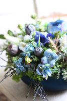 Naturiosa Cecile Small, niebieska kompozycja w szklanej misie, wym.16x38cm 