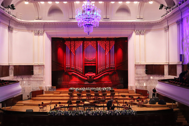 Opera Blue, kompozycja kwiatowa w donicy