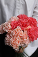 Cloves, bukiet kwiatów goździki, 8szt, koralowe