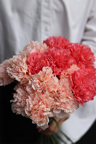 Cloves, bukiet kwiatów goździki, 8szt, koralowe