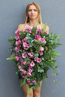 Juderia Fiolet, komplet dekoracji nagrobnych, wiązanka + bukiet